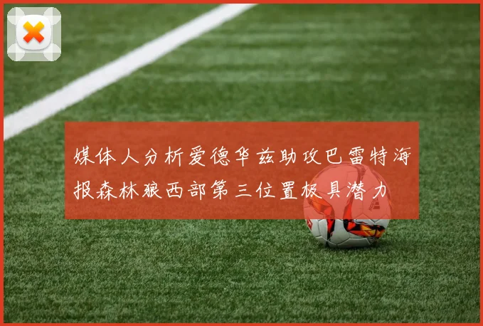 媒体人分析爱德华兹助攻巴雷特海报森林狼西部第三位置极具潜力