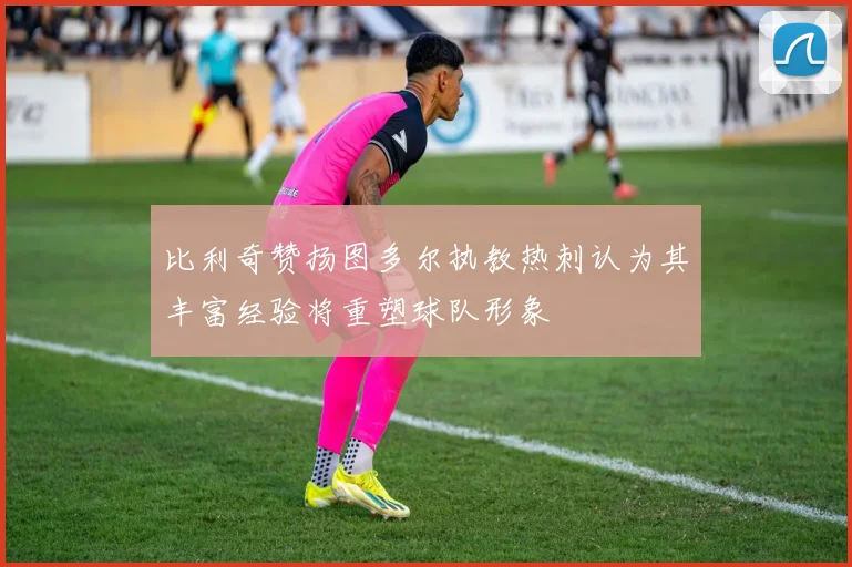 比利奇赞扬图多尔执教热刺认为其丰富经验将重塑球队形象